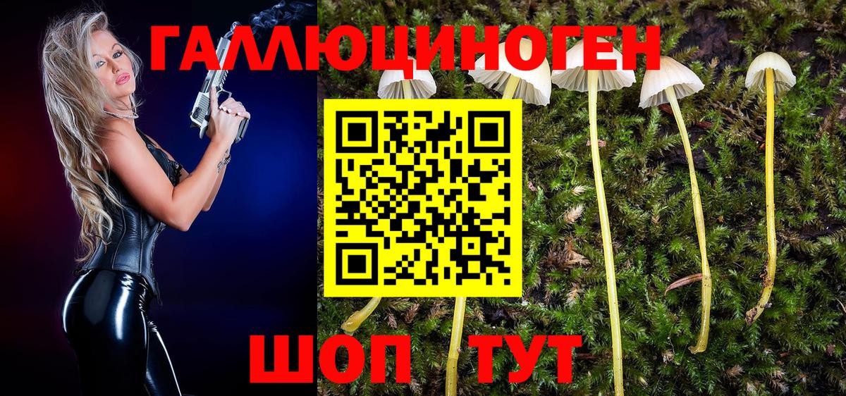 Псилоцибиновые грибы Magic Shrooms  Вход с VPN  Гагарин 